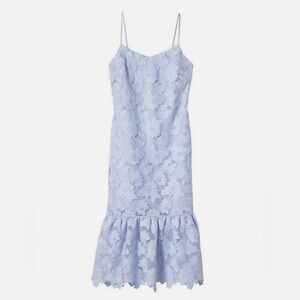 Banana Republic Limited Edition Lace Dress
